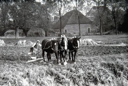 Boerderij en buitenplaats Zuidhoven aan de Oudendijk, rond 1937