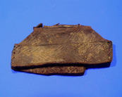 14e/15e eeuws regenleertje, gevonden in 1997 op het Statenplein.